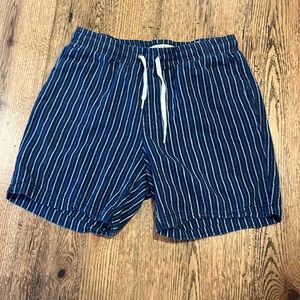 Pacsun volley shorts size S